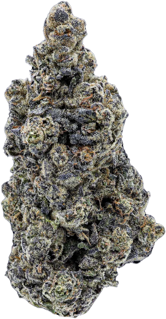 Platinum Pop Rocks cannabis flower with deep purple hues and frosty trichomes