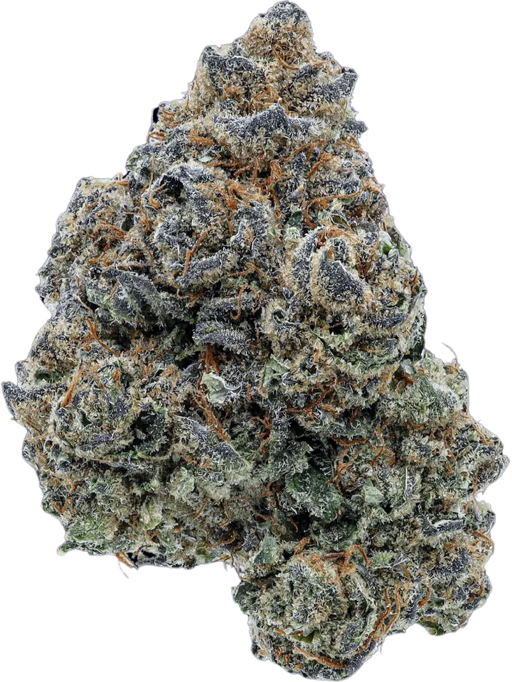 Purple Octane cannabis flower with green and purple hues and orange pistils